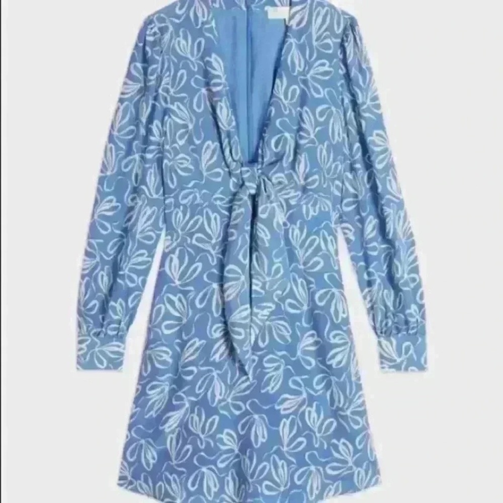 Blue Floral Tie-Front Mini Dress